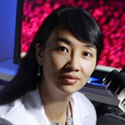 A headshot of Guo-li Ming, MD, PhD