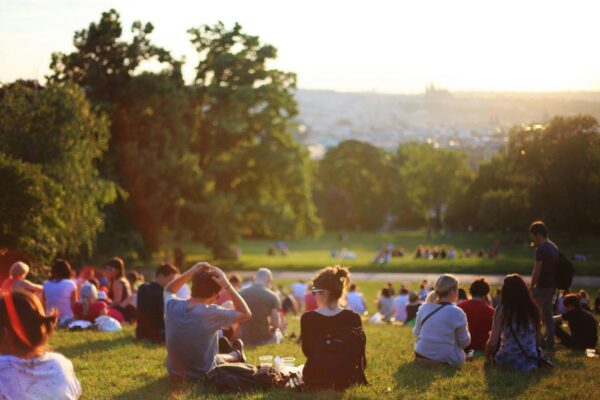 Group of people sitting and relaxing in a spacious park with many trees